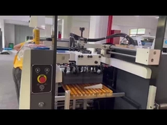 آلة طلاء الأشعة فوق البنفسجية - سلسلة FHSGJ